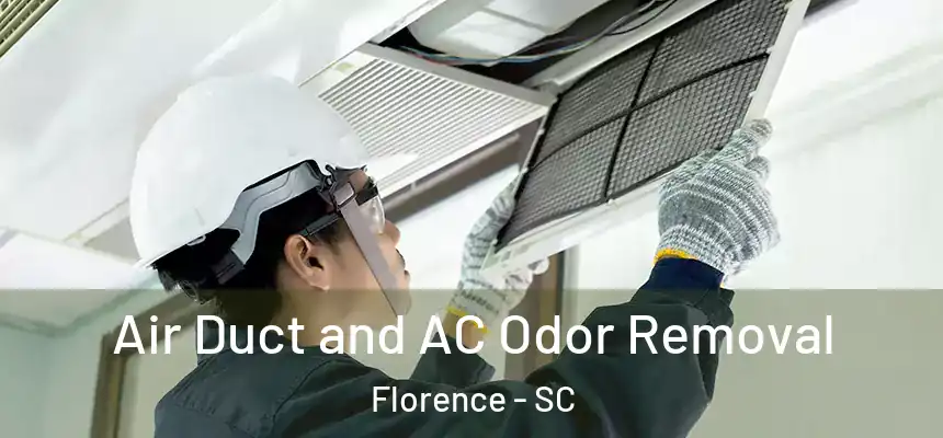  Air Duct and AC Odor Removal Florence - SC