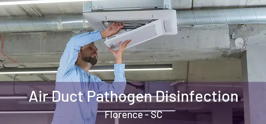Air Duct Pathogen Disinfection Florence - SC