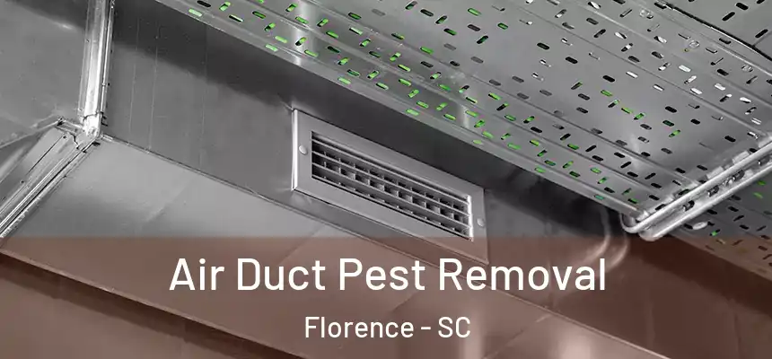 Air Duct Pest Removal Florence - SC