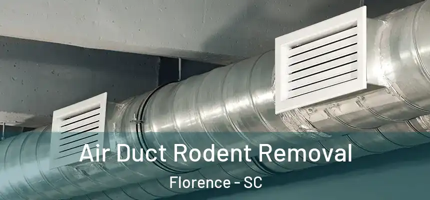  Air Duct Rodent Removal Florence - SC