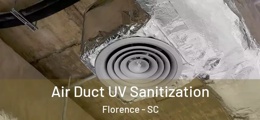  Air Duct UV Sanitization Florence - SC