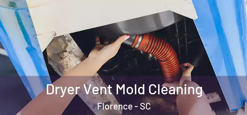 Dryer Vent Mold Cleaning Florence - SC