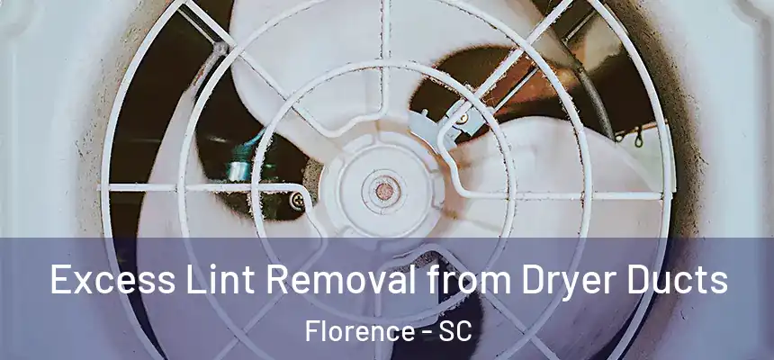  Excess Lint Removal from Dryer Ducts Florence - SC