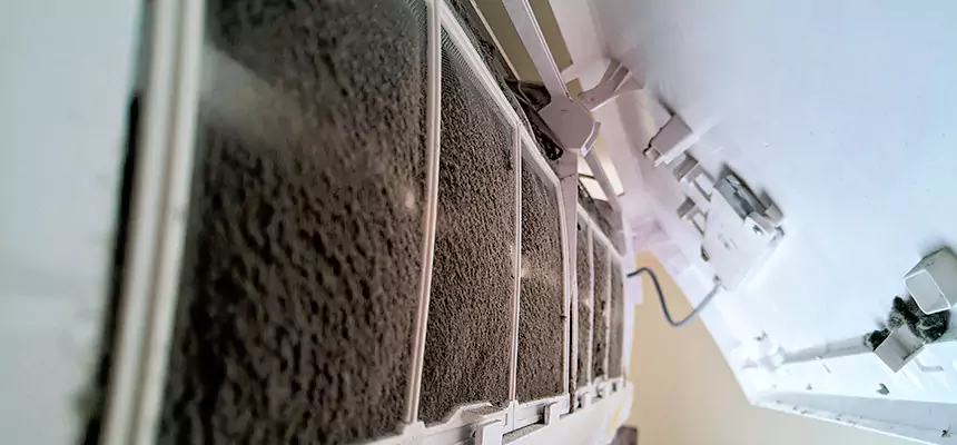 Preventive Air Duct Bacteria Removal in Florence