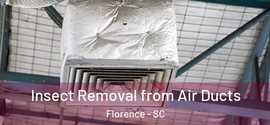  Insect Removal from Air Ducts Florence - SC