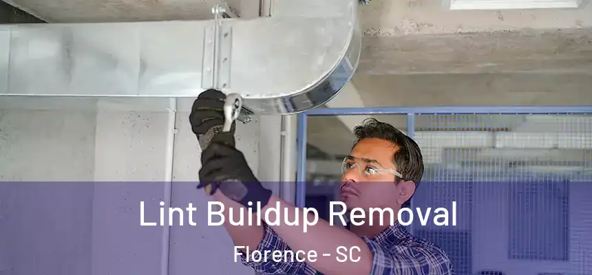 Lint Buildup Removal Florence - SC