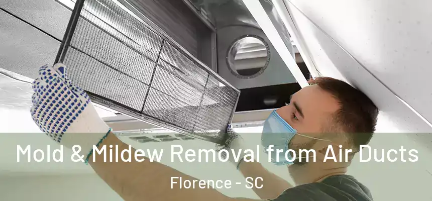  Mold & Mildew Removal from Air Ducts Florence - SC