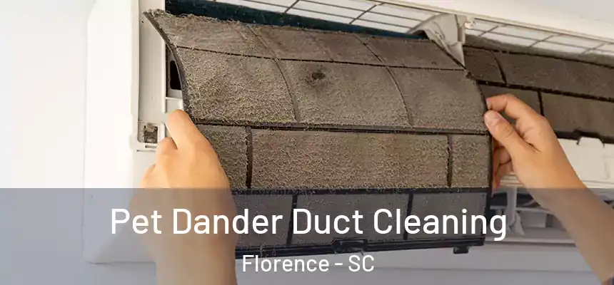  Pet Dander Duct Cleaning Florence - SC