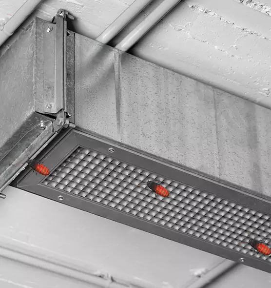 About Air Duct Cockroach Removal in Florence, SC