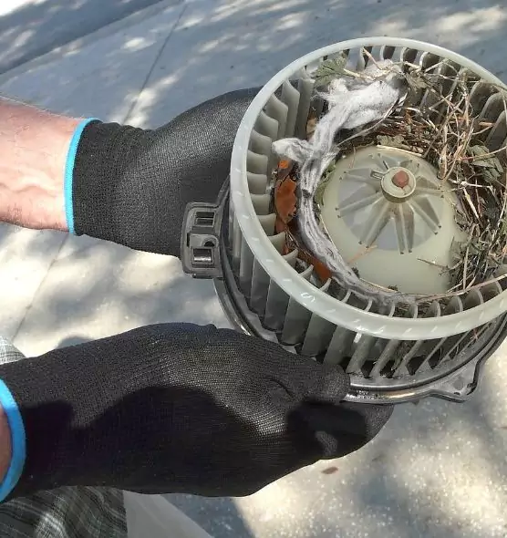 About Air Duct Mice Removal in Florence, SC