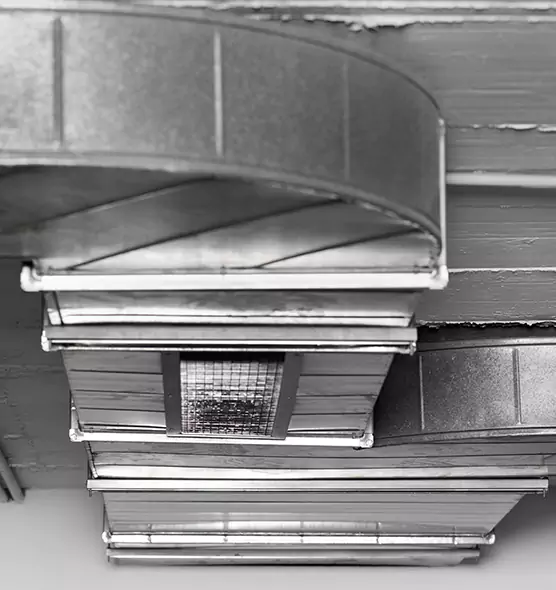 Professional Air Duct Pet Hair Removal in Florence, SC