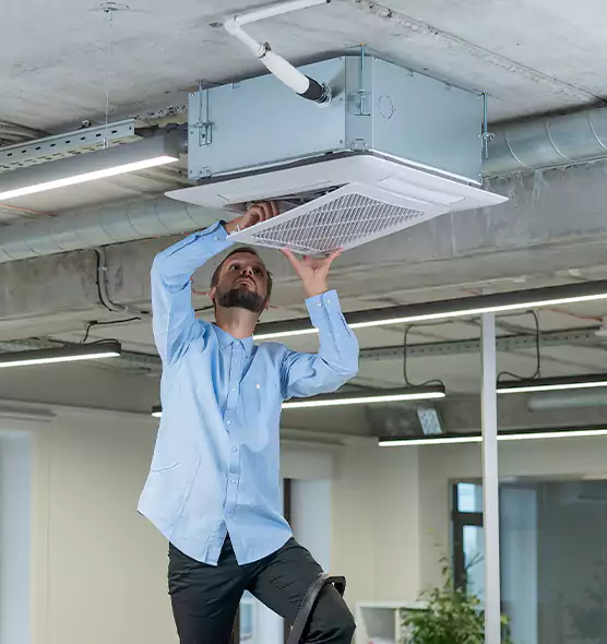 Advanced Rodent Droppings In Vents in Florence, SC