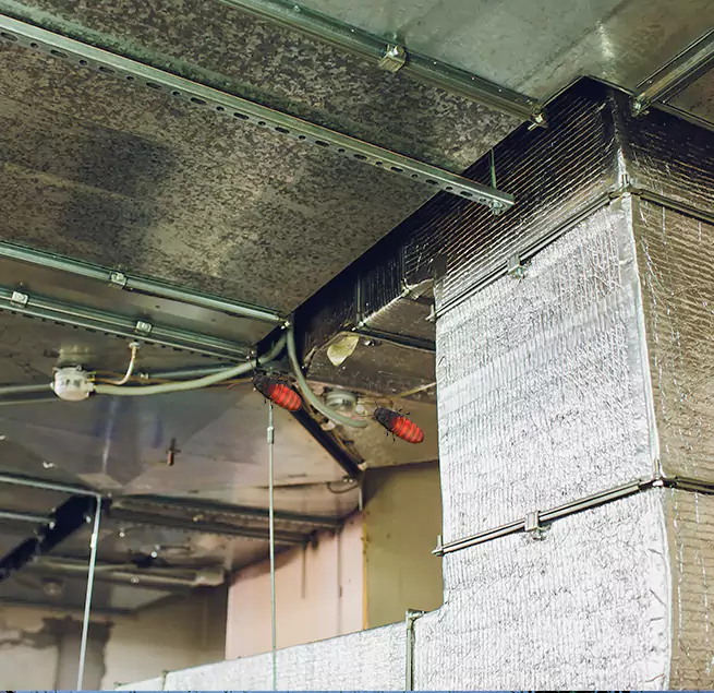 Why Homeowners & Businesses Trust Us in Florence, SC?