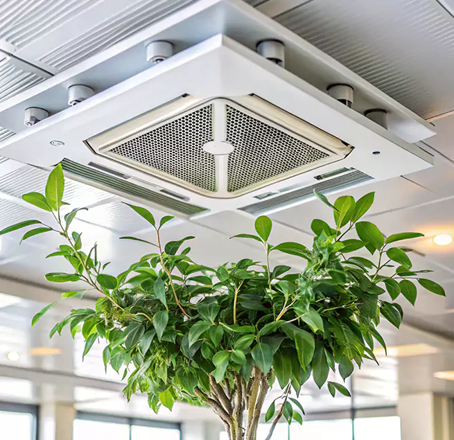 Why Homeowners & Businesses Trust Us in Florence, SC