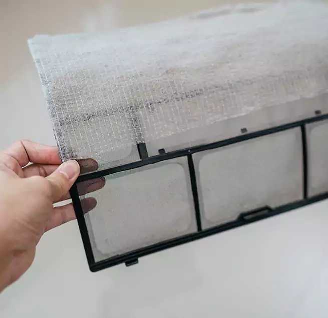 Why Homeowners & Businesses Trust Us in Florence, SC?