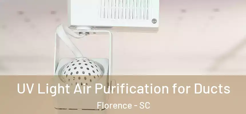  UV Light Air Purification for Ducts Florence - SC